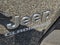 2021 Jeep Gladiator Willys 4x4
