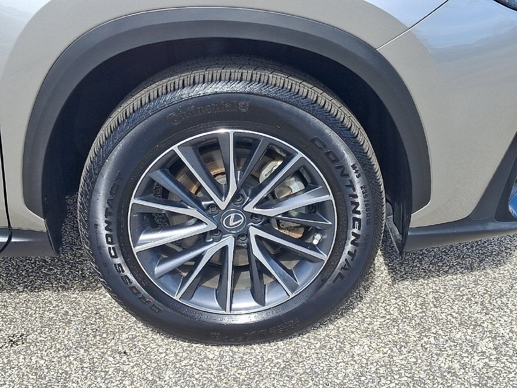 2022 Lexus NX 350h NX 350h